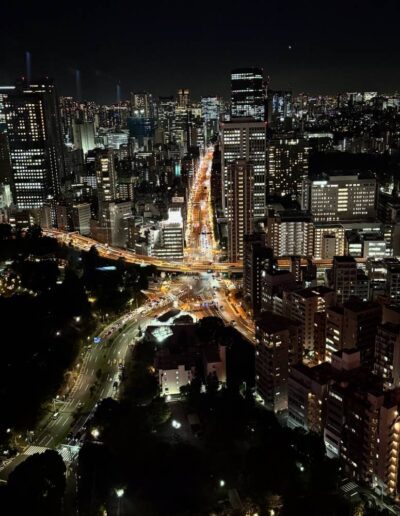 Tokyo in der Nacht