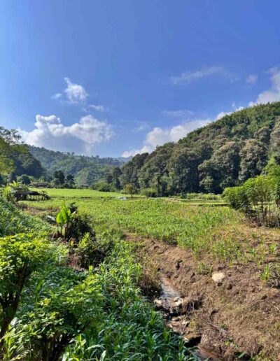 Lam Nam Kok Nationalpark