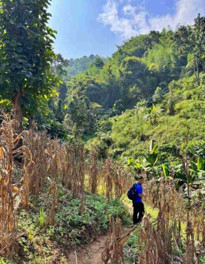 Lam Nam Kok Nationalpark
