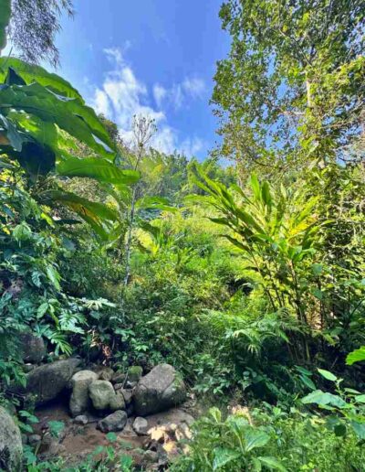 Lam Nam Kok Nationalpark