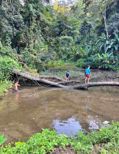 Lam Nam Kok Nationalpark