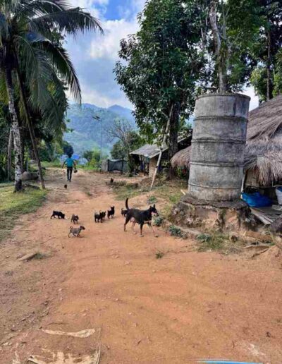 Lam Nam Kok Nationalpark