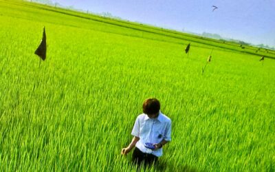 „All About Lily Chou-Chou“ (Japan, 2001) – eine Filmkritik