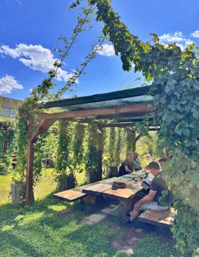 Hopfengarten Bamberg