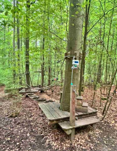 Kletterwald bei Regensburg