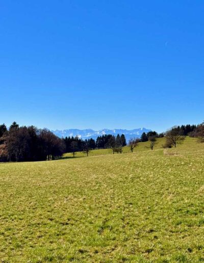 Ilkahöhe - Blick auf die Alpen