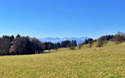 Tolle Wanderung vor den Toren Münchens: 25 km vom Starnberger See bis zum Ammersee