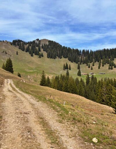 Wanderung Lenggries Tegernsee - Hirschtalsattel