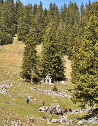 Wanderung Lenggries Tegernsee - Hirschtalsattel