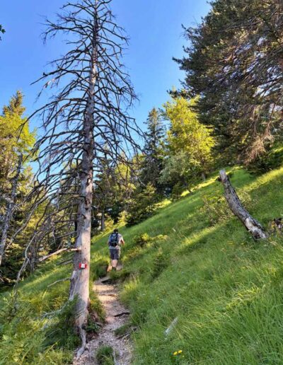 Karwendelgebirge bei Mittenwald